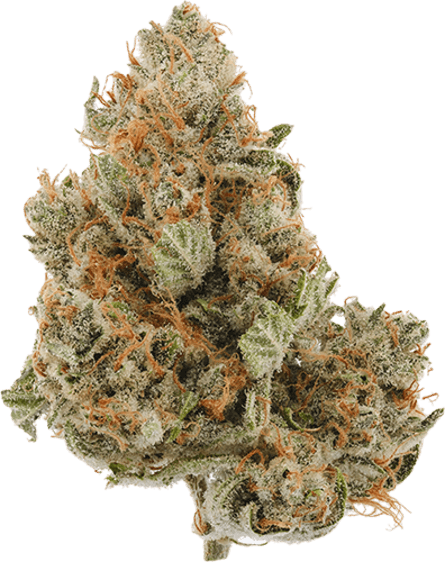 Yellow Haze OG
